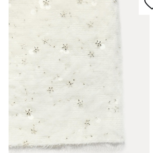 NWT ZARA MINI BEADED SKIRT SIZE S
🚨FINAL PRICE NO ACCEPT OFFERS - Picture 9 of 16